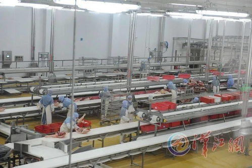 聽(tīng) 美妙 鏈 曲已奏響